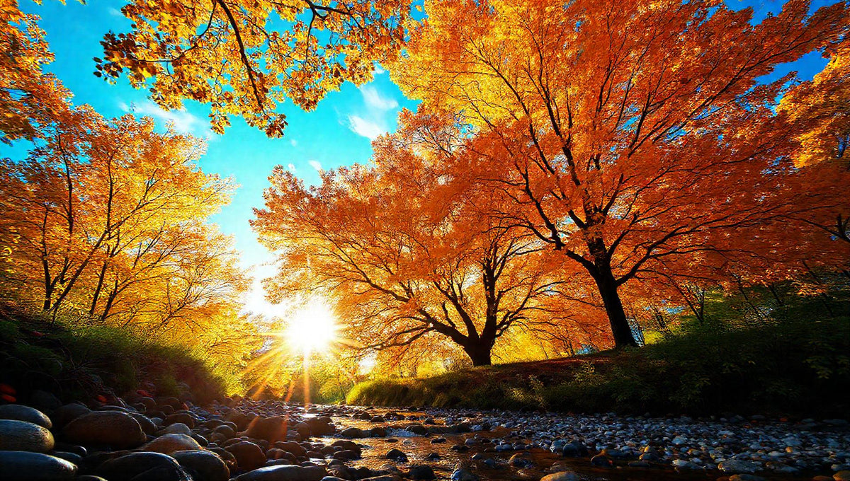 ZenFlow Deep Sleep Healing Vol. 245