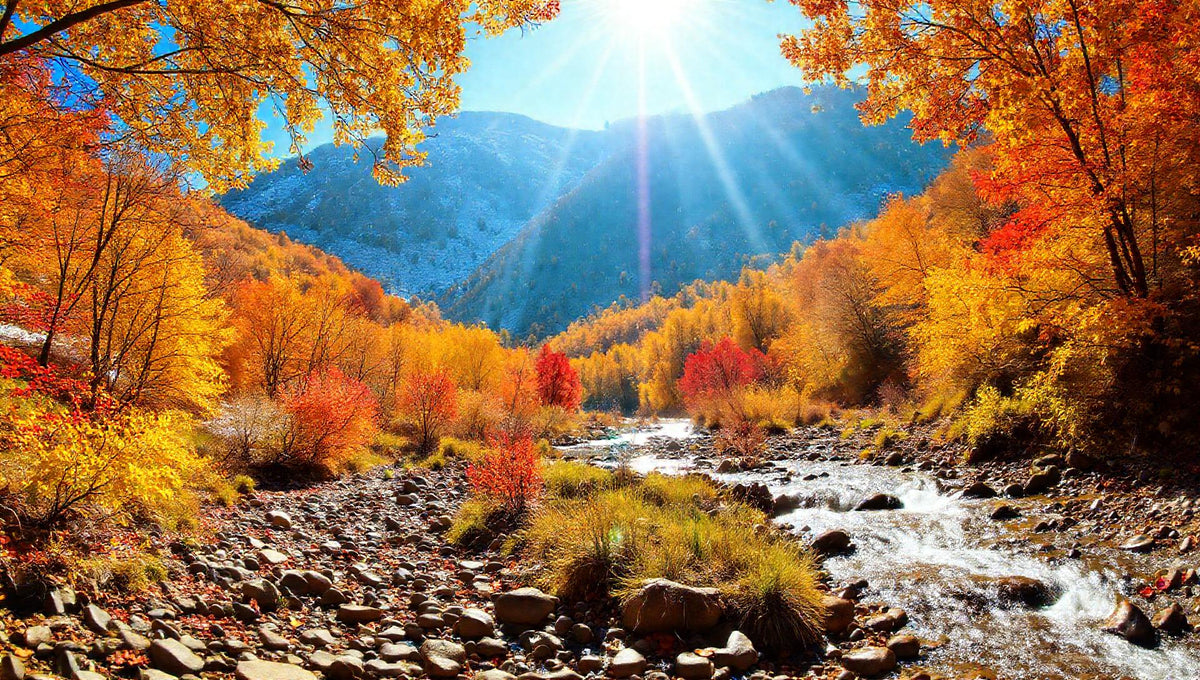 ZenFlow Deep Sleep Healing Vol. 531