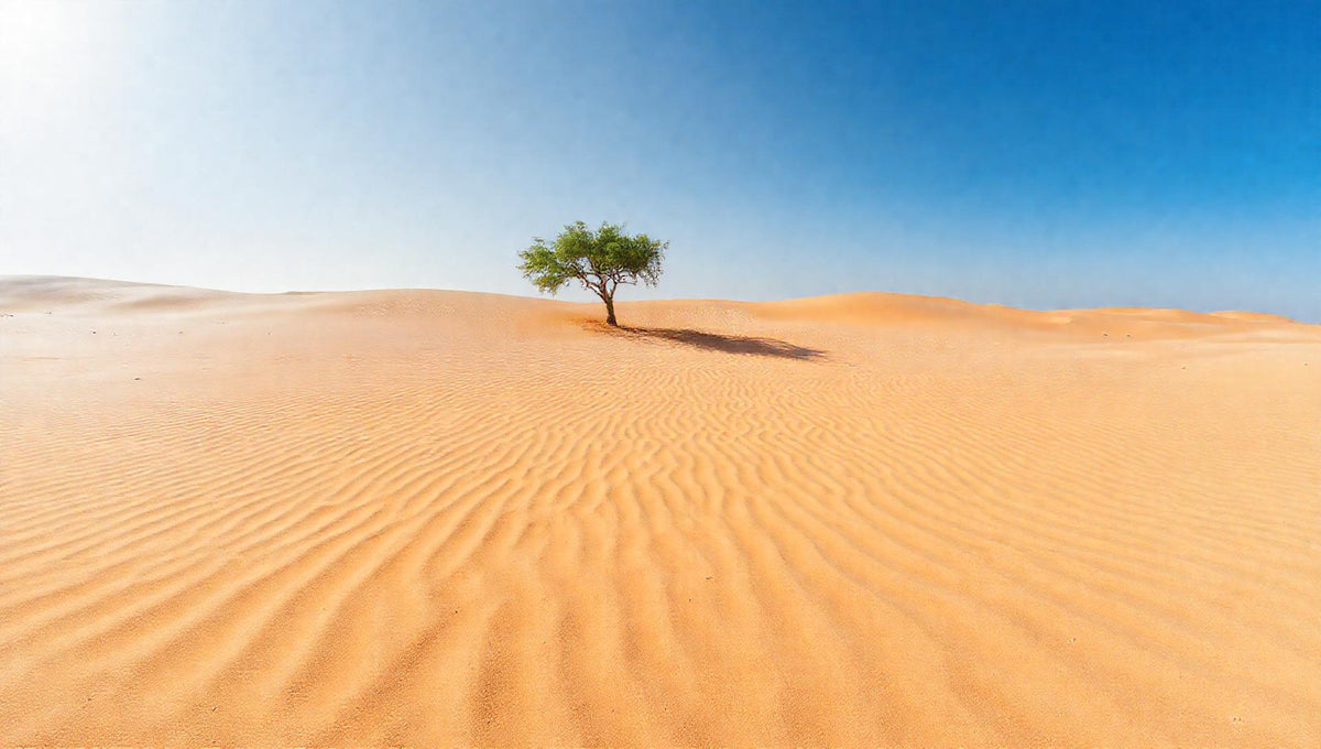ZenFlow Deep Sleep Healing Vol. 833