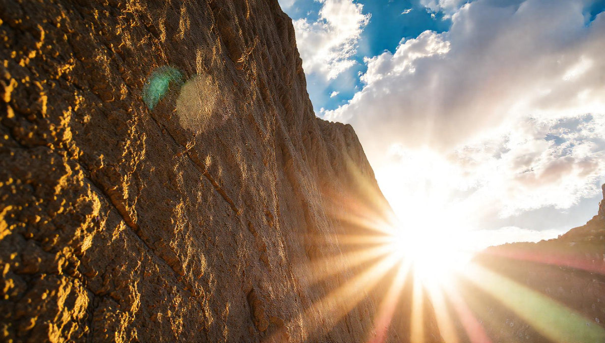 ZenFlow Deep Sleep Healing Vol. 890