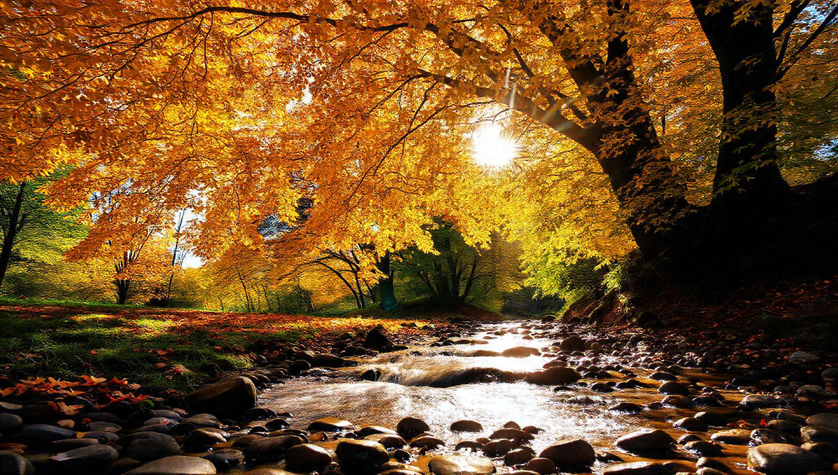 ZenFlow Deep Sleep Healing Piano Vol. 1190