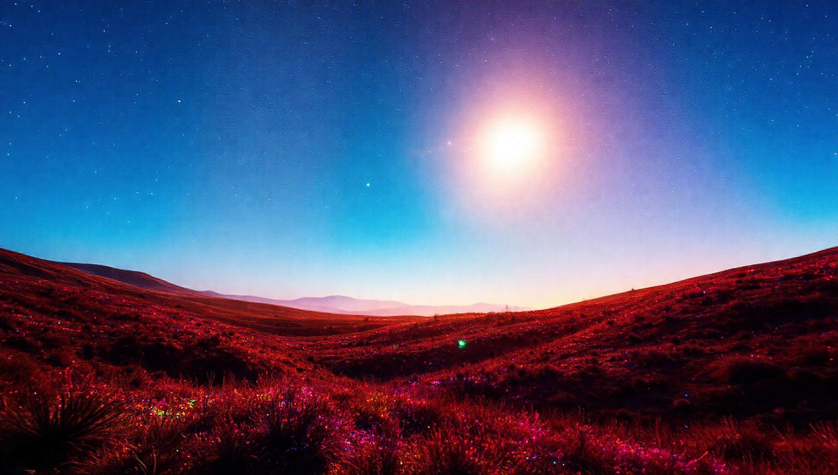 ZenFlow Deep Sleep Healing Vol. 22