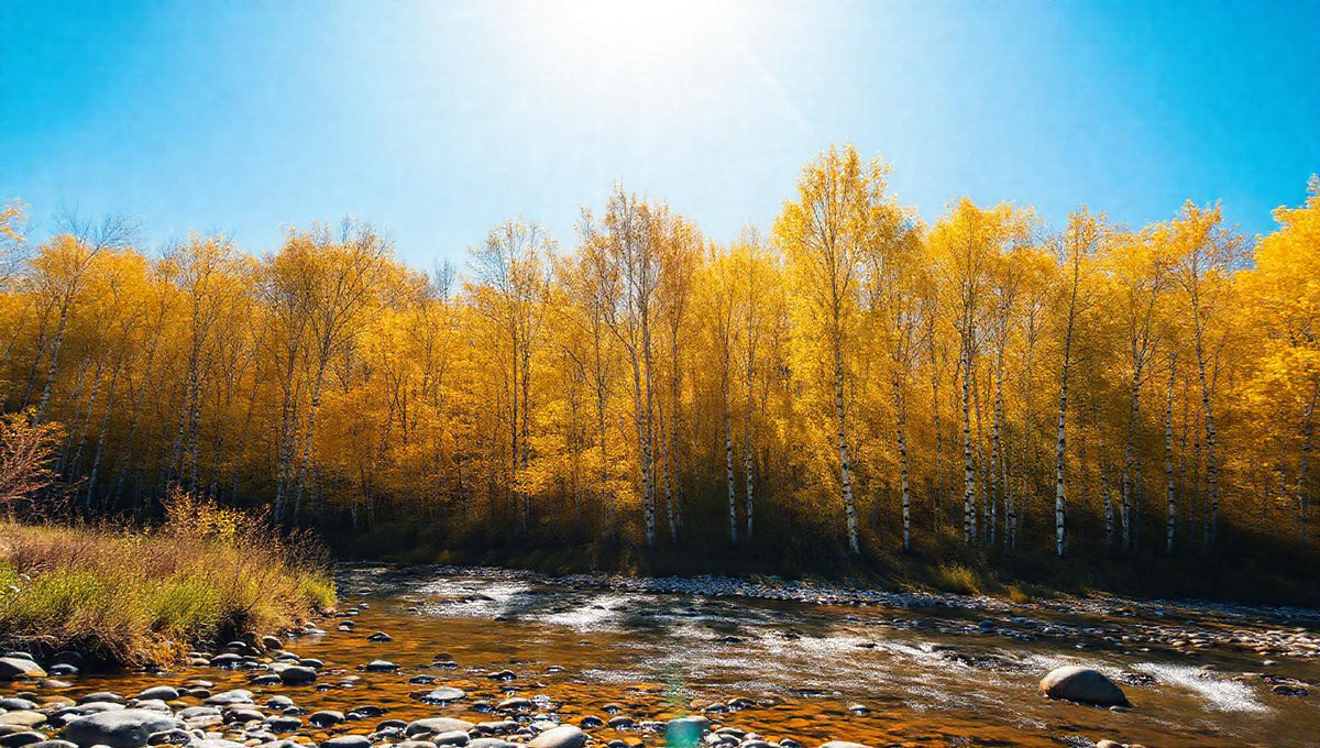 [ZenFlow] 자장가 - River Stream (맑은 시냇가) (5분) - Vol. 083
