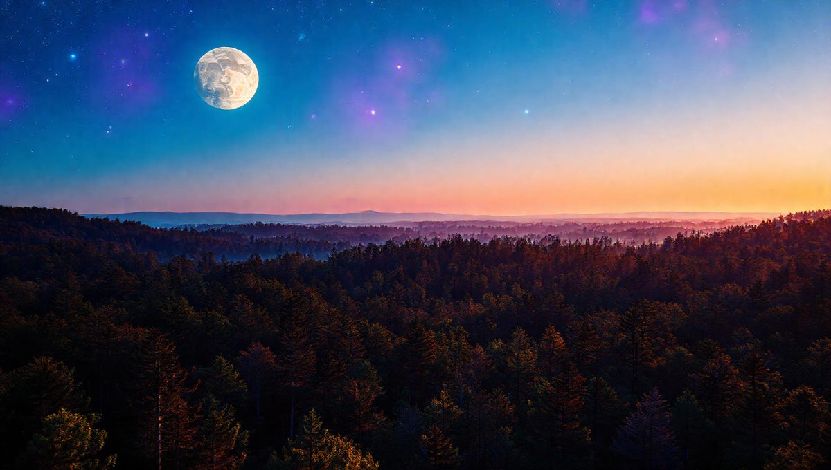 ZenFlow Deep Sleep Healing Vol. 140