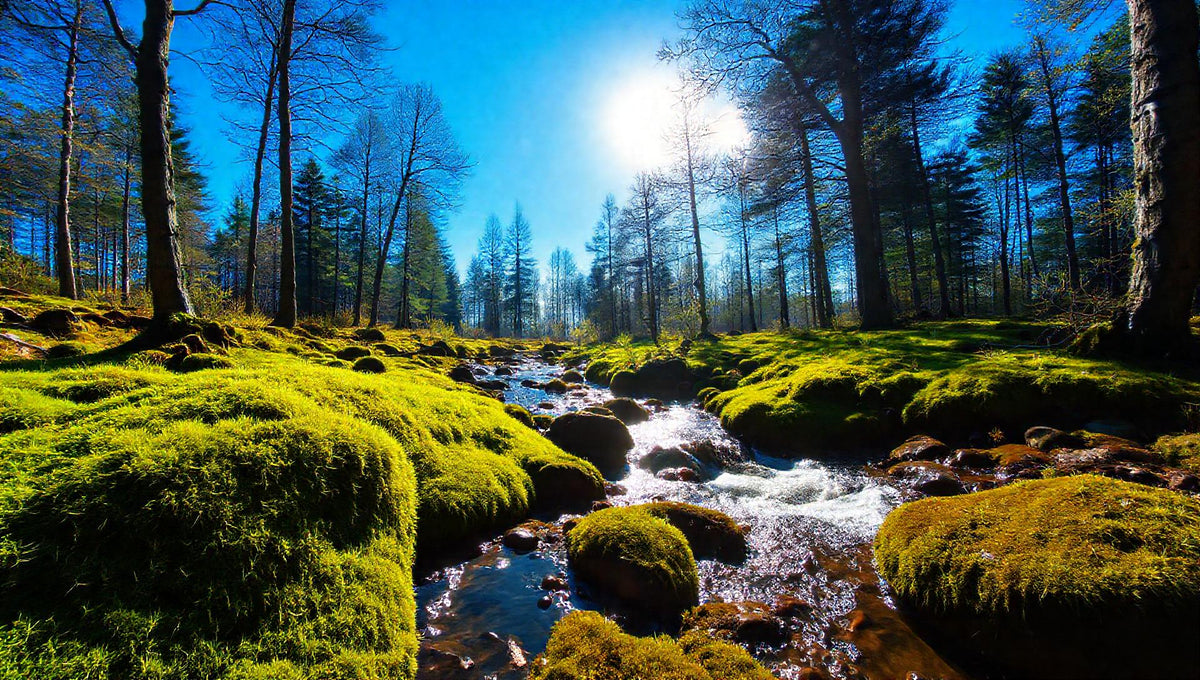 ZenFlow Deep Sleep Healing Piano Vol. 490