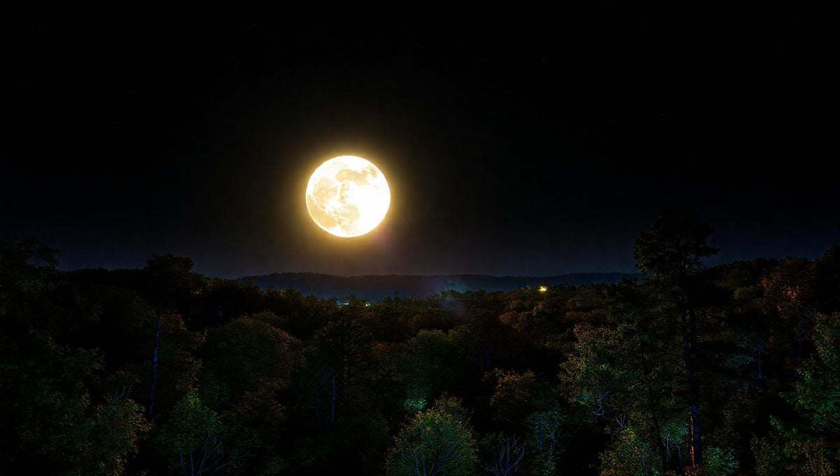 ZenFlow Deep Sleep Healing Vol. 506