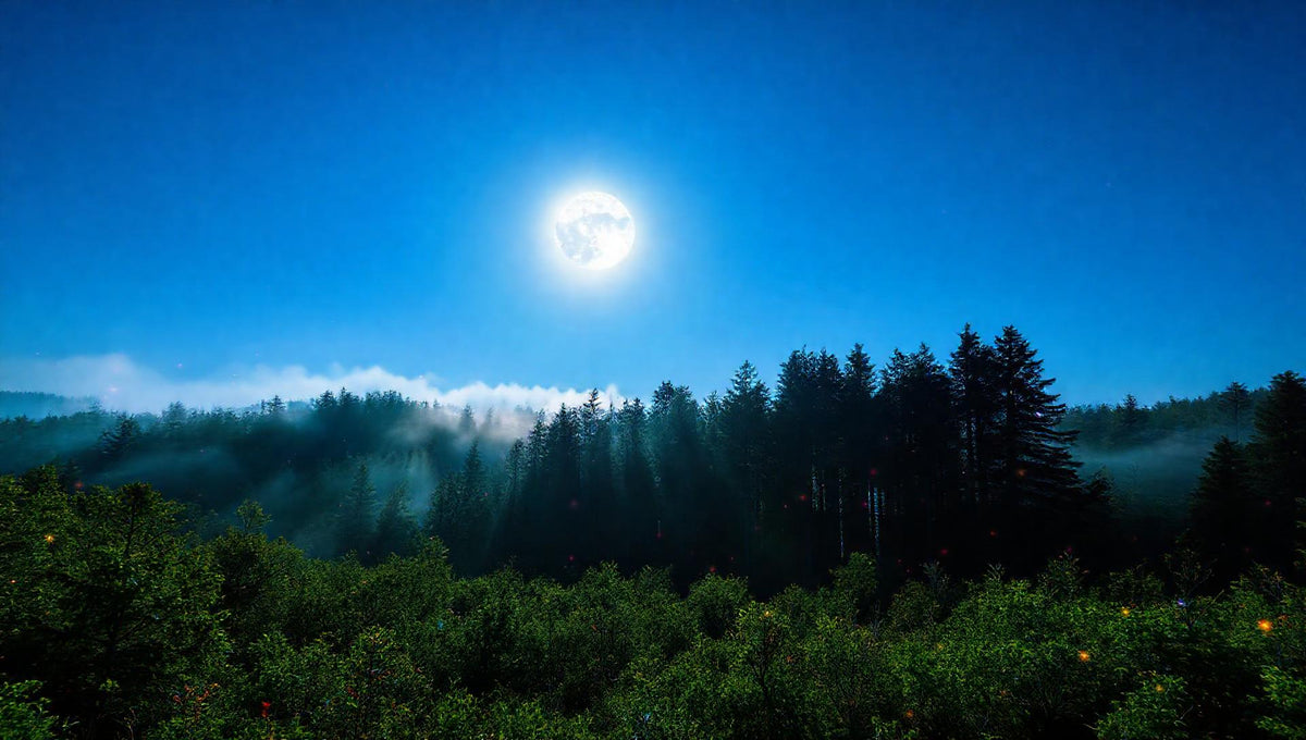 ZenFlow Deep Sleep Healing Vol. 552