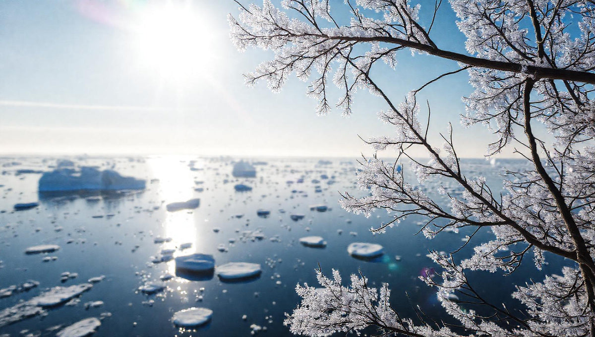 ZenFlow Deep Sleep Healing Vol. 609