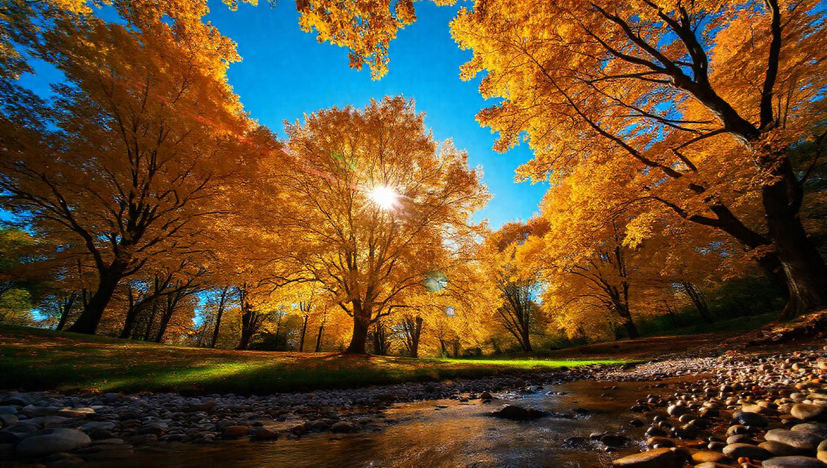 ZenFlow Deep Sleep Healing Vol. 785