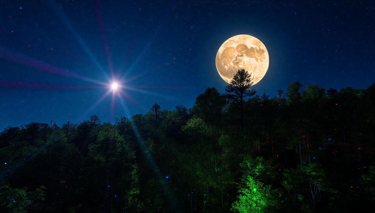 ZenFlow Deep Sleep Healing Vol. 982