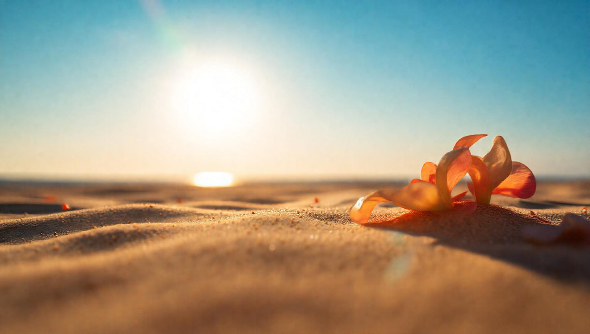 ZenFlow Deep Sleep Healing Vol. 1036