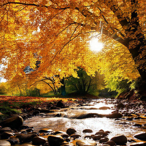 ZenFlow Deep Sleep Healing Piano Vol. 1190