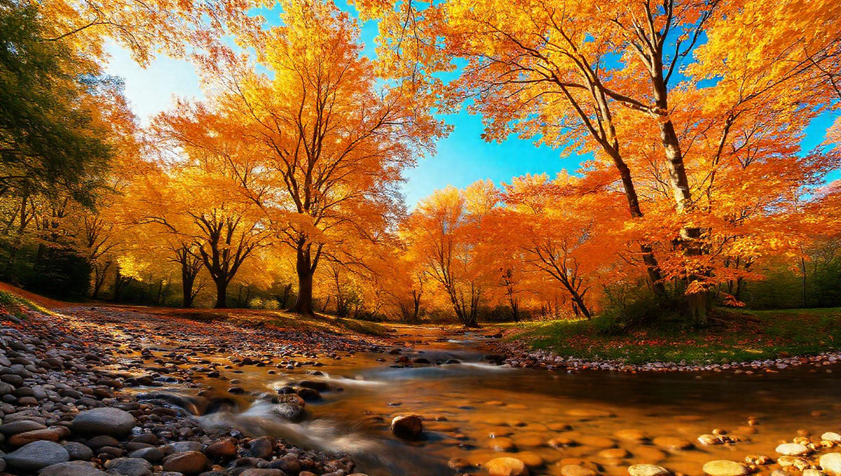 ZenFlow Deep Sleep Healing Vol. 1262