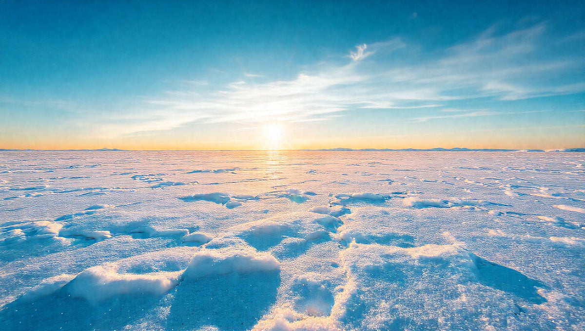 ZenFlow Deep Sleep Healing Piano Vol. 1312