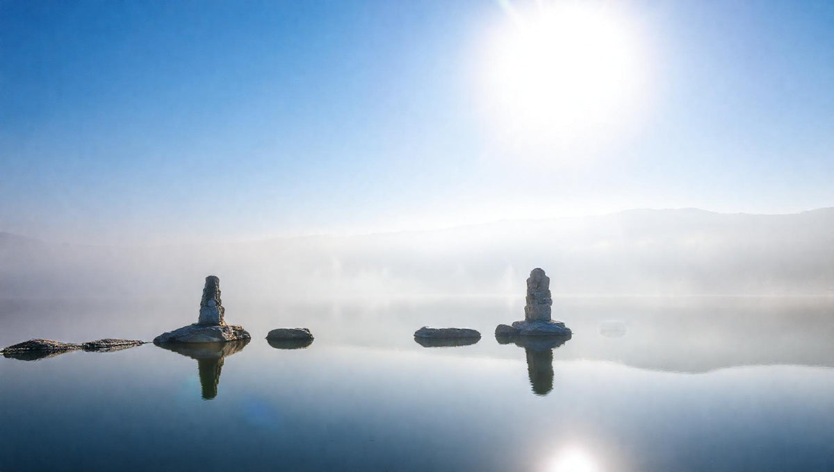 ZenFlow Deep Sleep Healing Vol. 1321