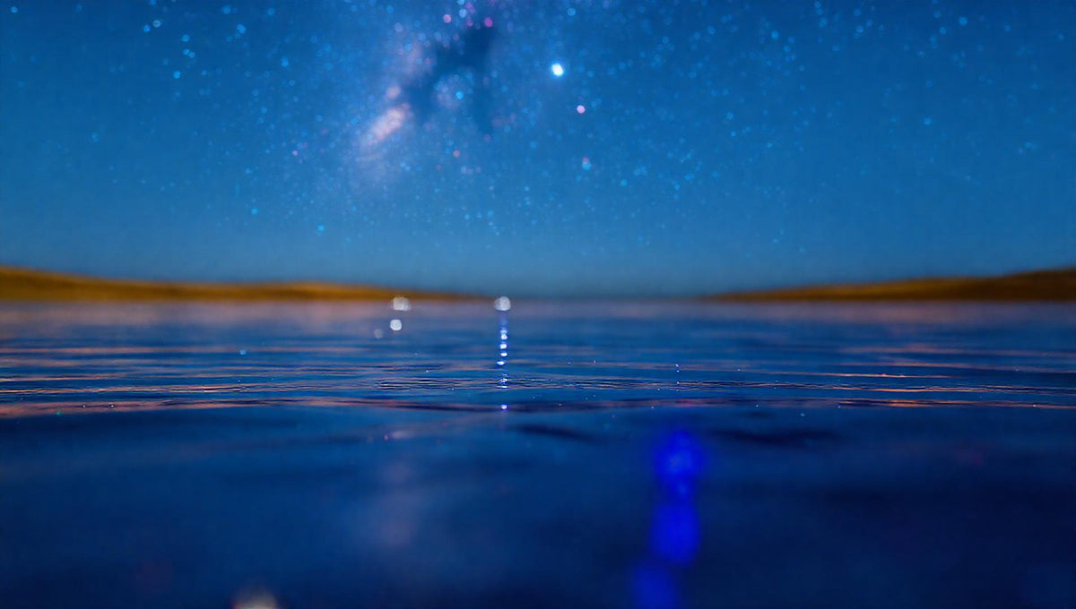 ZenFlow Deep Sleep Healing Vol. 1351