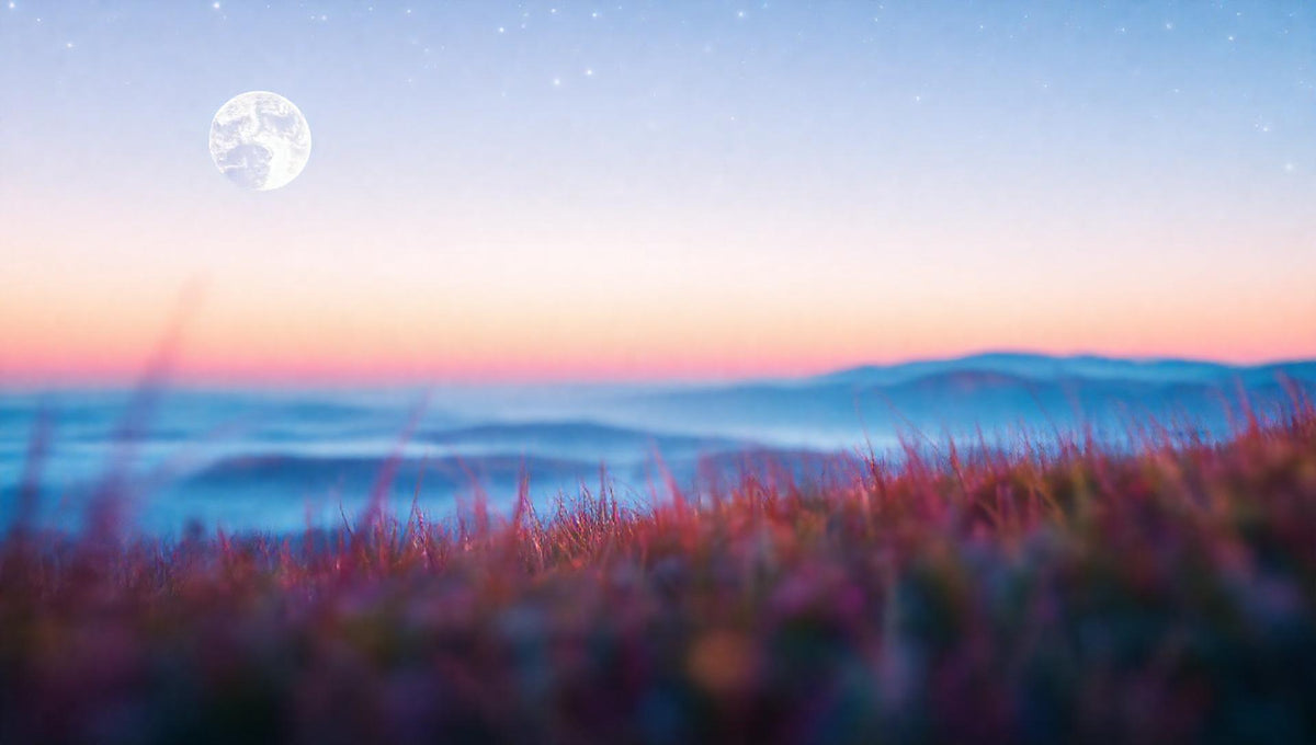 ZenFlow Deep Sleep Healing Vol. 1353